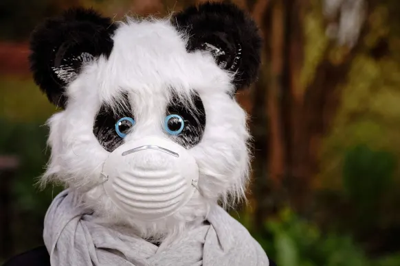 BitReels Casino Kundeservice